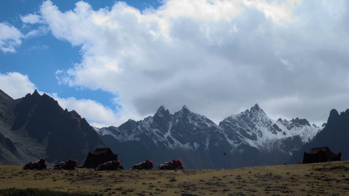 Jomolhari Trek